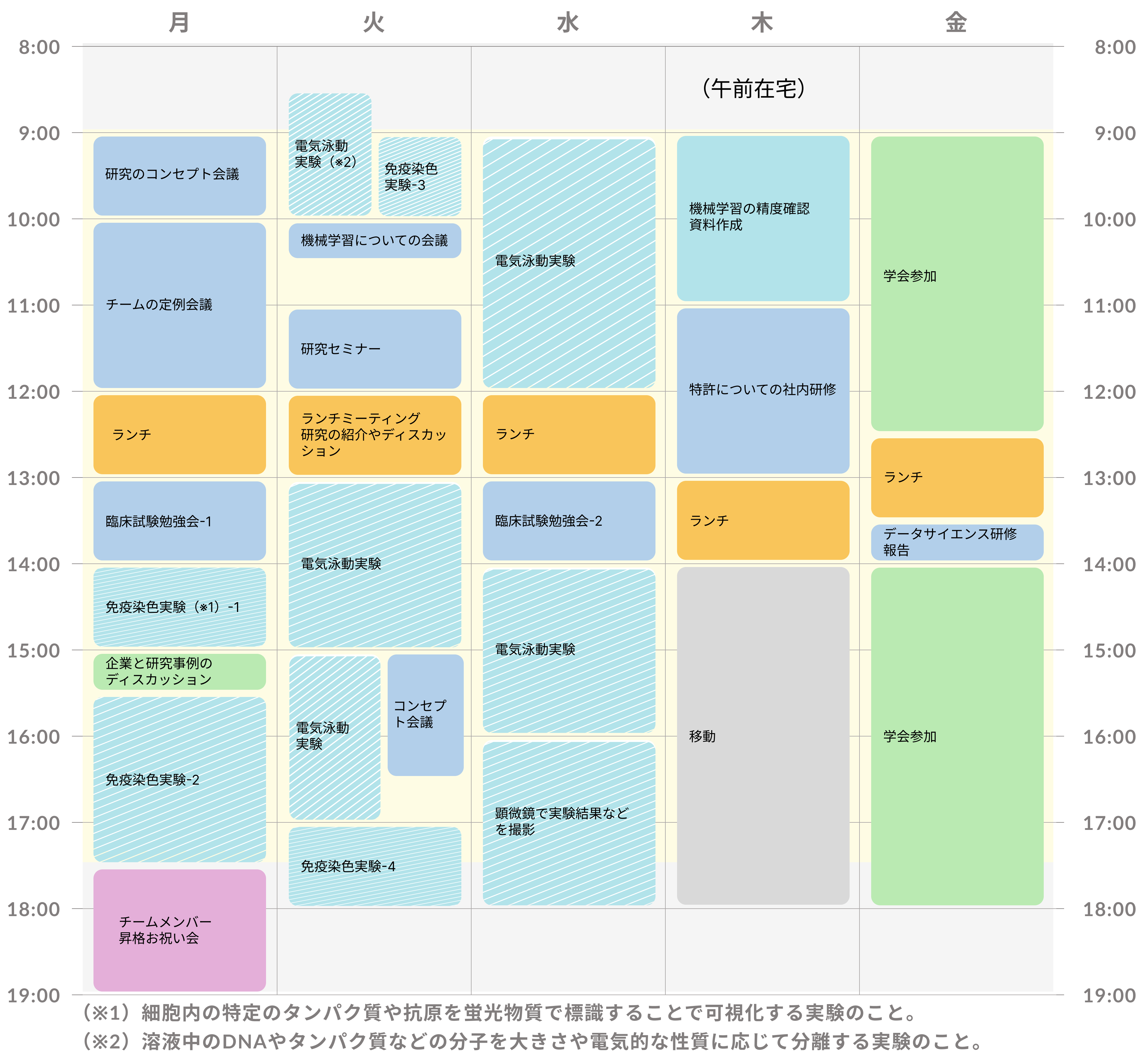 「研究力×行動力」。新しい健康素材を探求する若手研究員の1週間！（サントリーで働く社員の1週間スケジュール～基礎研究編～）